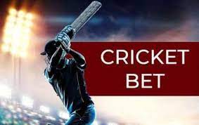 Points of Advice for online cricket betting