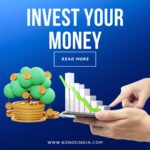 non convertible debentures
