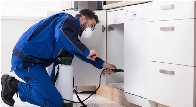 Why do you need to hire pest control Thomastown services and how it can help your business?