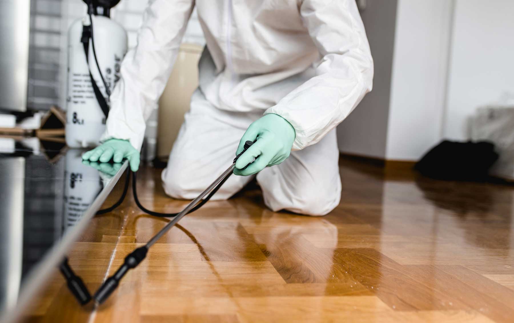What are the ways followed by pest control Sydney experts to get rid of pests?