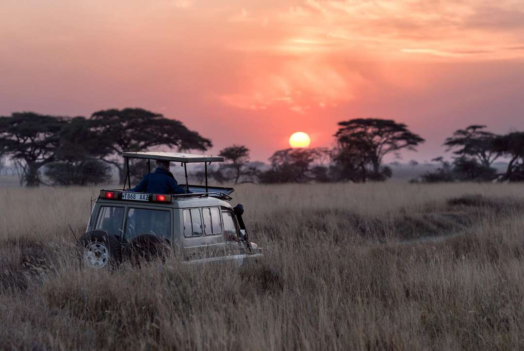 When is the Best Time to Visit East Africa for Perfect Weather?