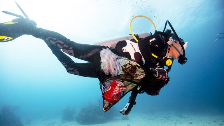 Understanding Split Face Diving and Lessons from a Diving Accident